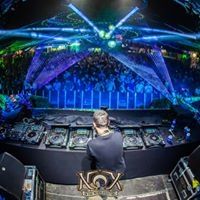 NOX in the Woods Festival